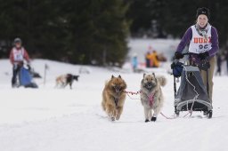 Lenzerheide 2013